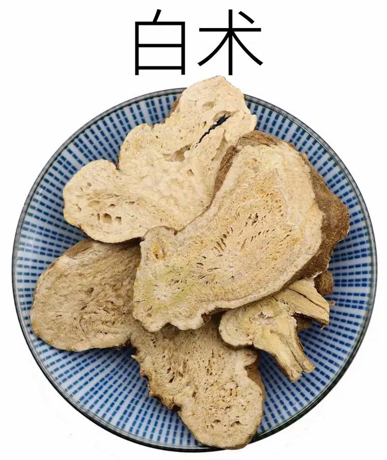 白术.jpg