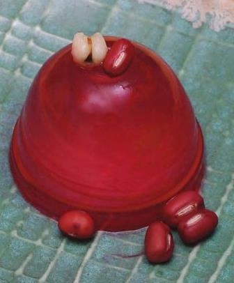 冰冻红豆薏仁.jpg