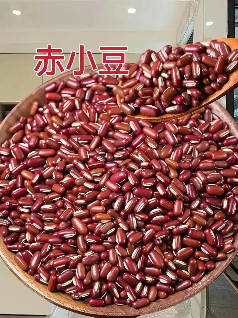赤小豆.jpg