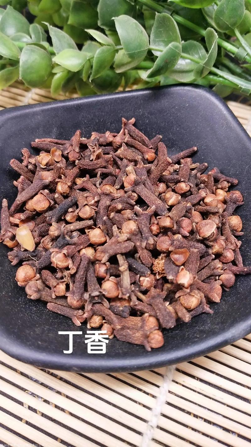 丁香.jpg