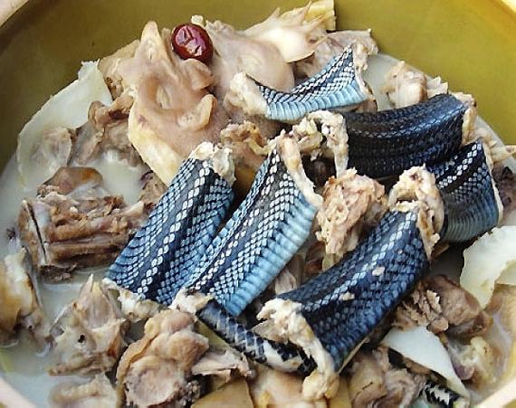 胡椒根煲蛇肉.jpg
