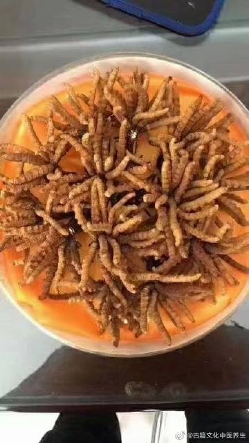 神仙醒酒丹.jpg
