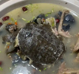 首乌黑豆炖甲鱼.png