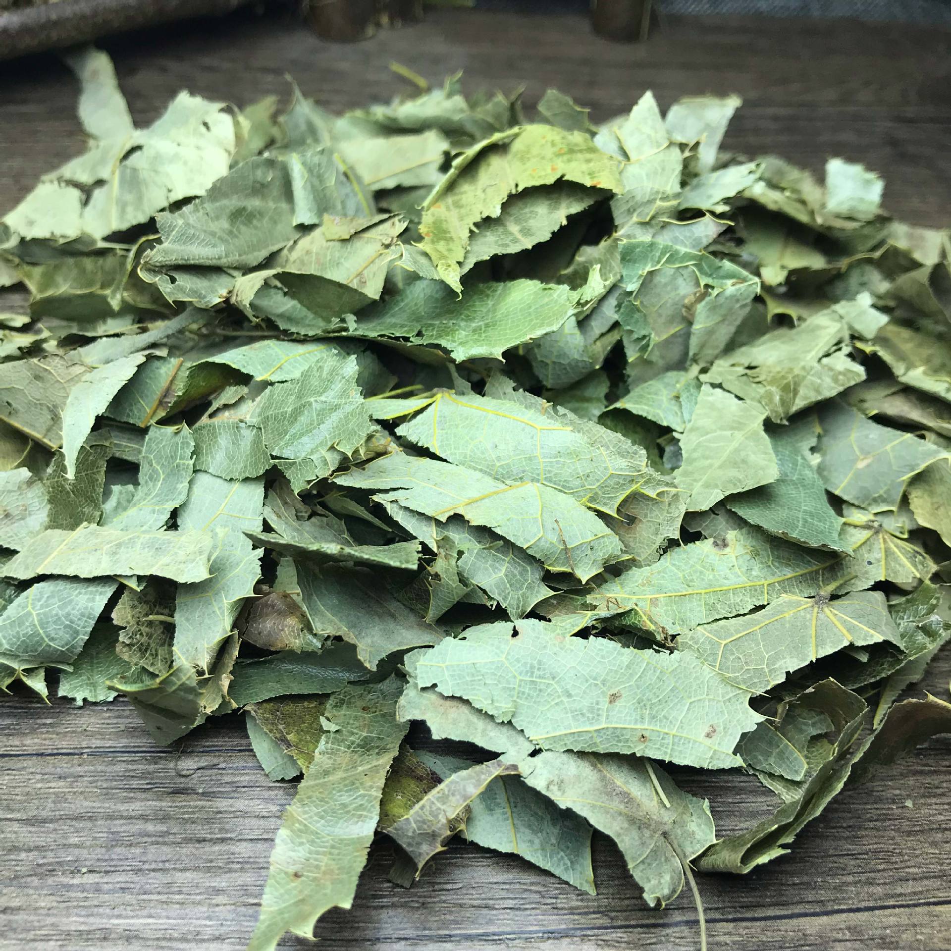 淫羊藿.jpg