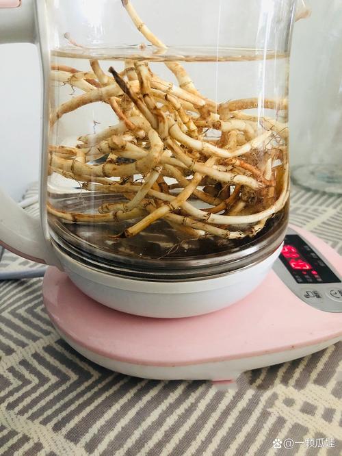 鱼腥草饮.jpg