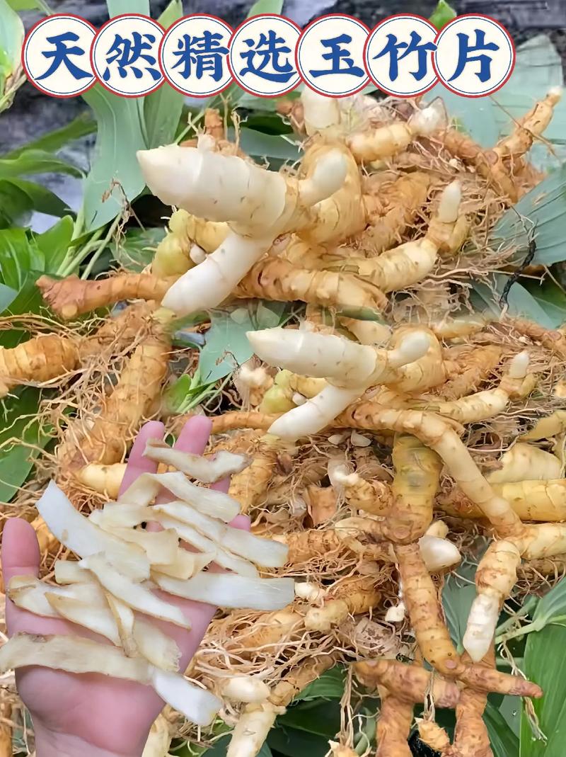 玉竹.jpg