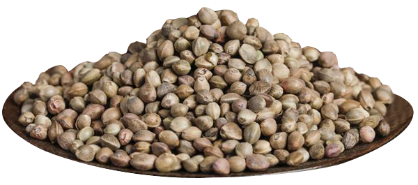 火麻仁1.png