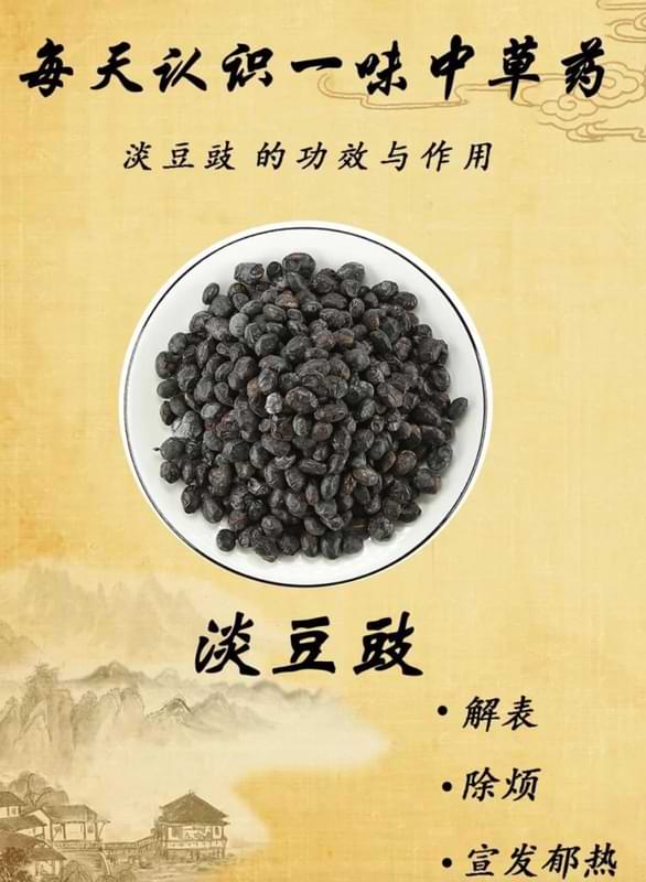 淡豆豉1.jpg