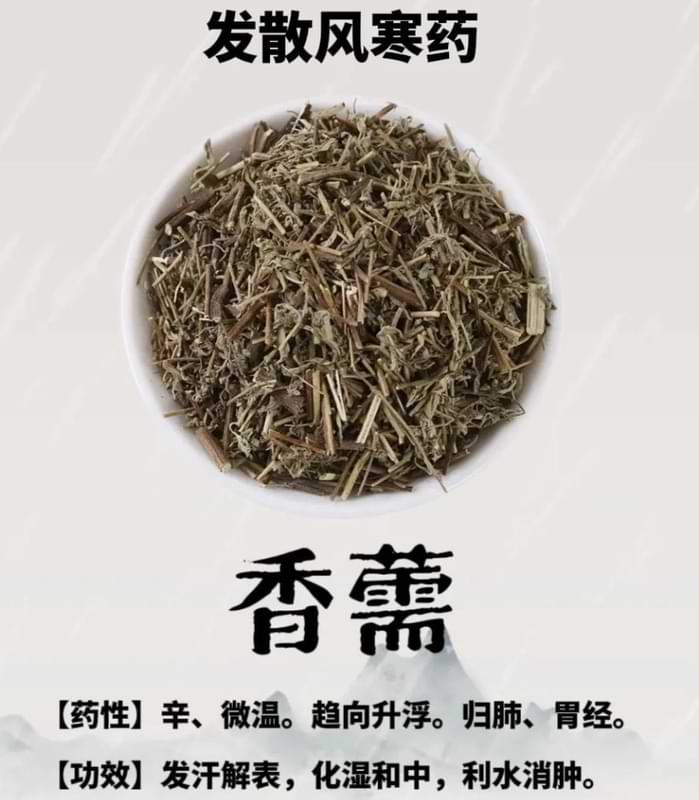 香藿.jpg