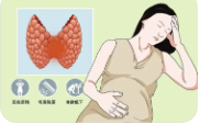 甲减孕妈妈.png