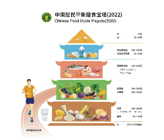 中国居民平衡膳食宝塔2022.png