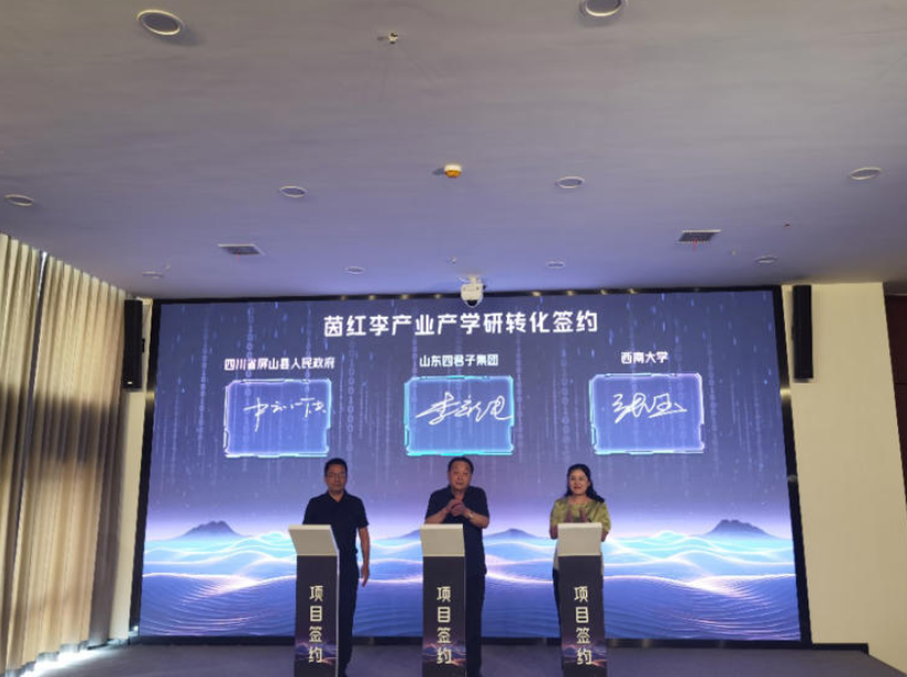 屏幕截图 2025-06-09 110334.png