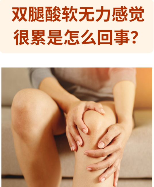 4aa8313b145fea458e4ba851c150633.png