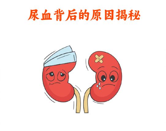 163049bbd0a01774779f8fef670ec27.png