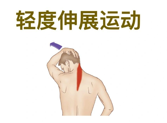 12.png