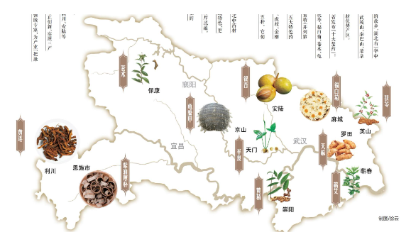 湖北药食同源.png