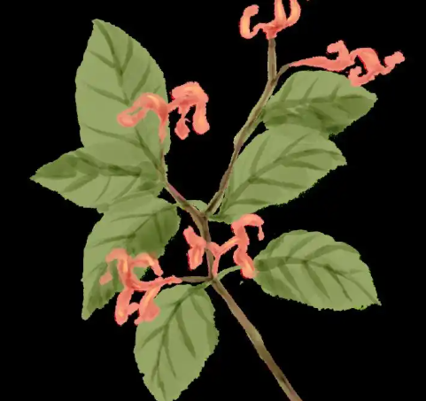 29dcfa9cf44d5c16ca482c4ba28b81a.png