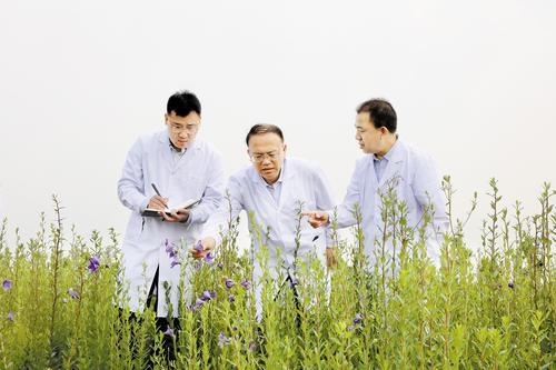 图片4.png