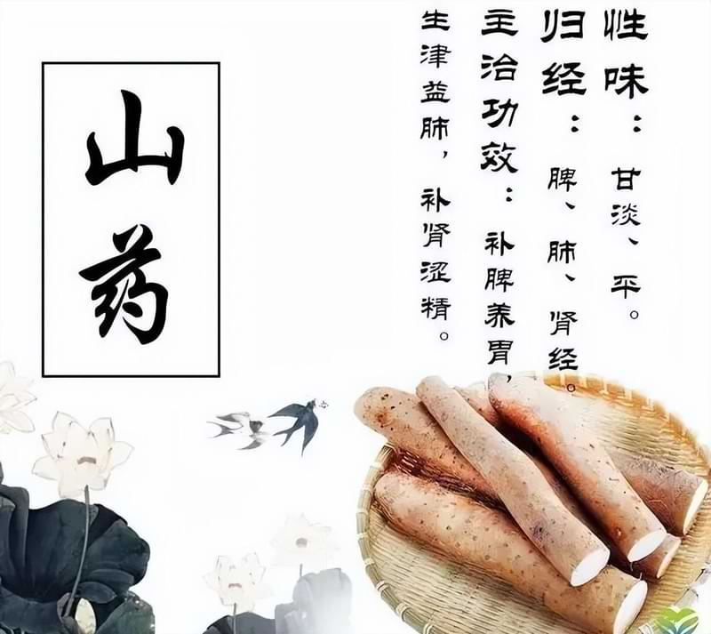 山药的功效与作用，补脾养胃